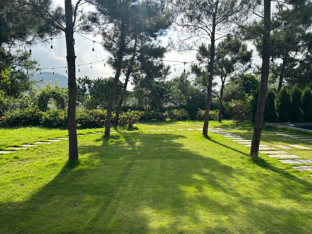 Lush green garden