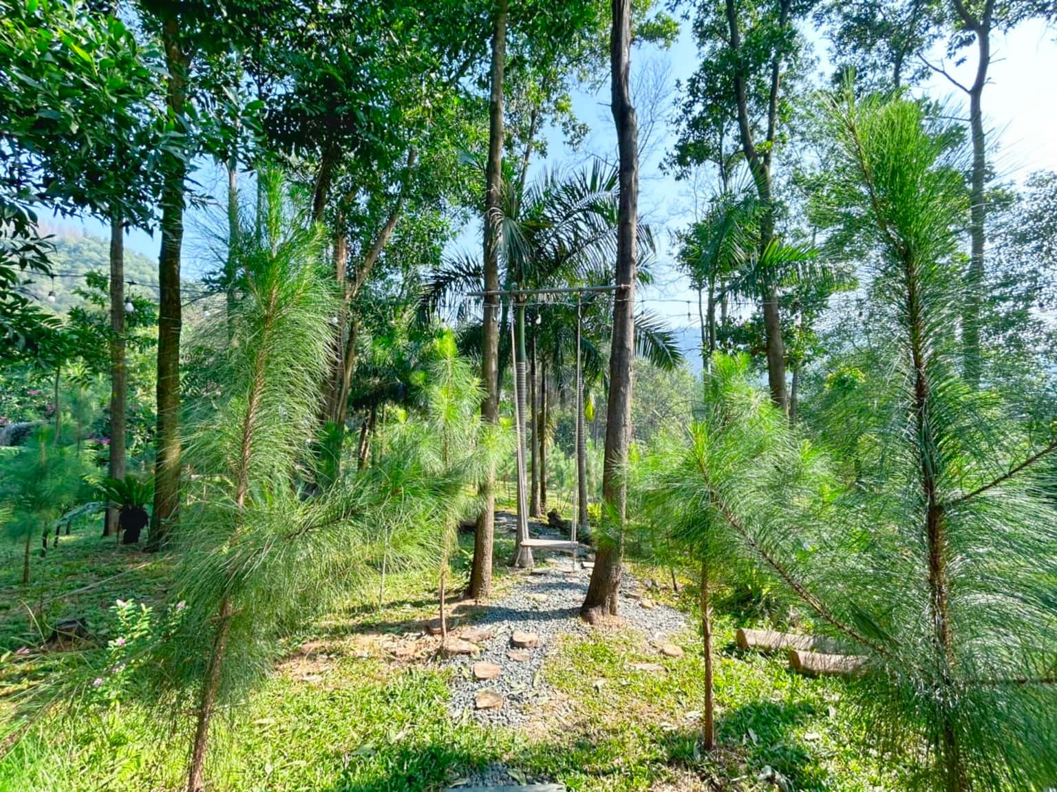 Oliu Homestay (Lee Garden) tại Lâm Trường, Sóc Sơn — ảnh 7