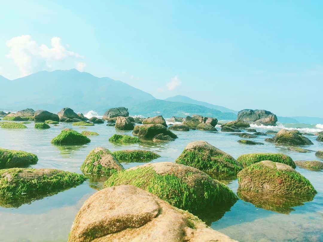 justfly ran nam o da nang