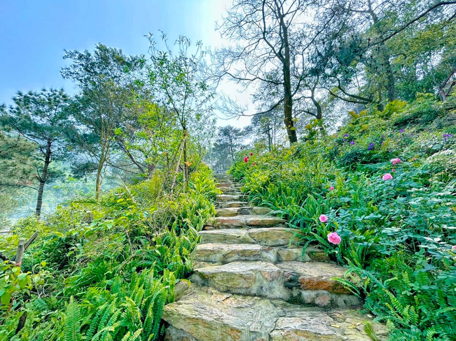 Pine 2 (May Retreat)，位于Sóc Sơn的Đồng Đò湖 — 照片 22