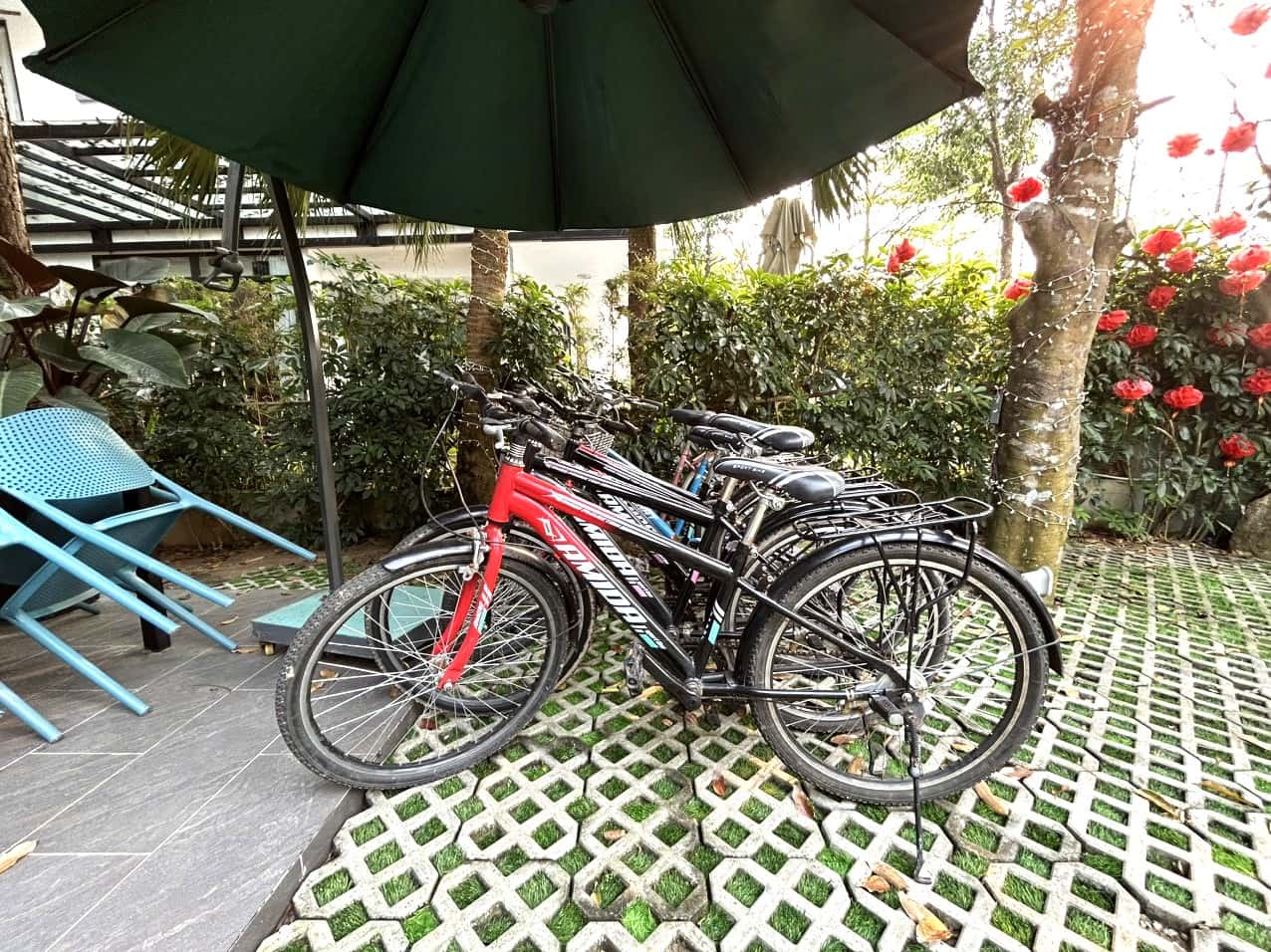 Xe đạp