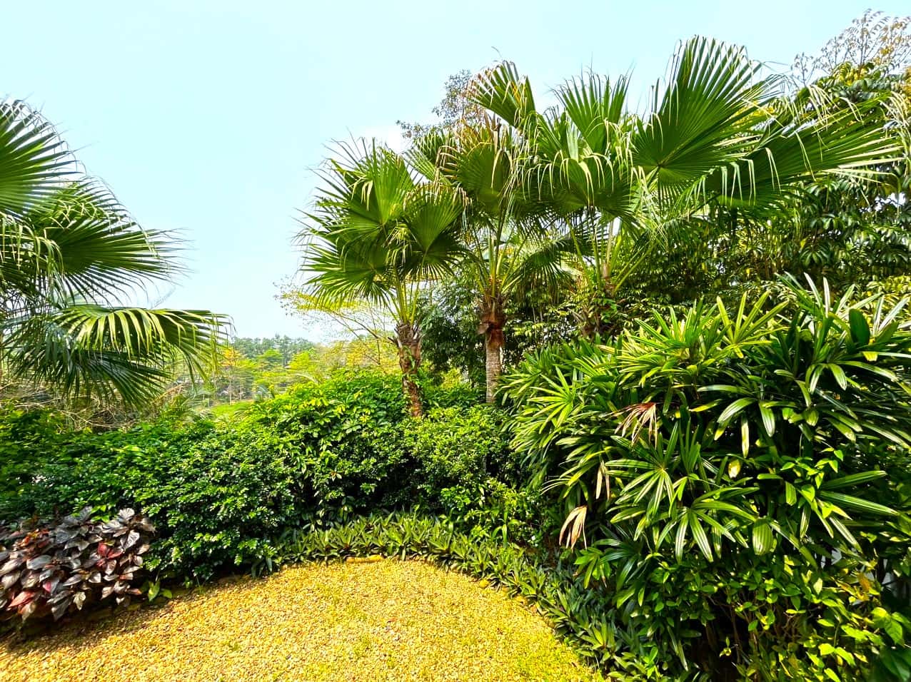 Villa H10, Flamingo Đại Lải — 照片 10