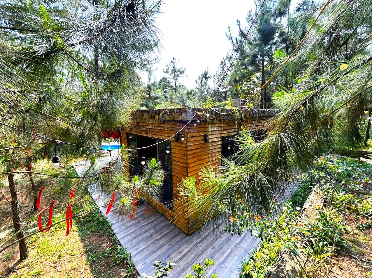 justfly mei homestay soc son 