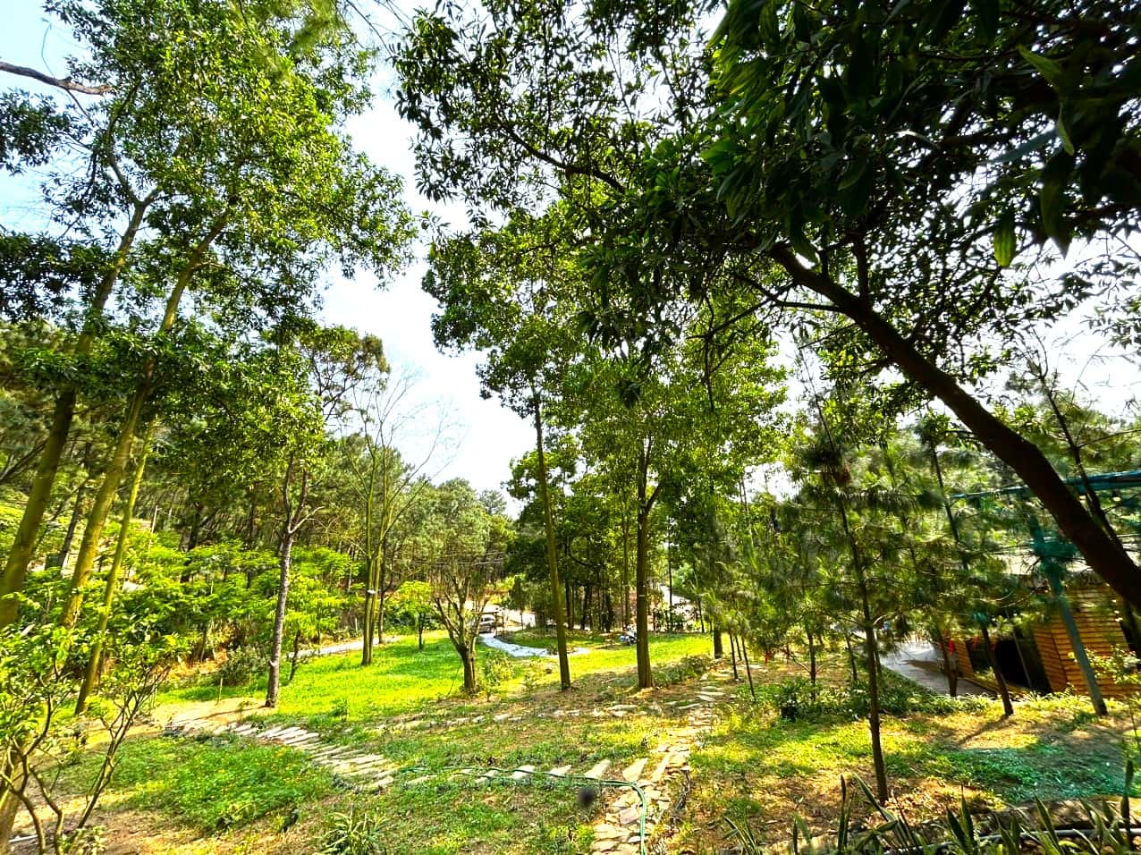 Sân vườn rộng 