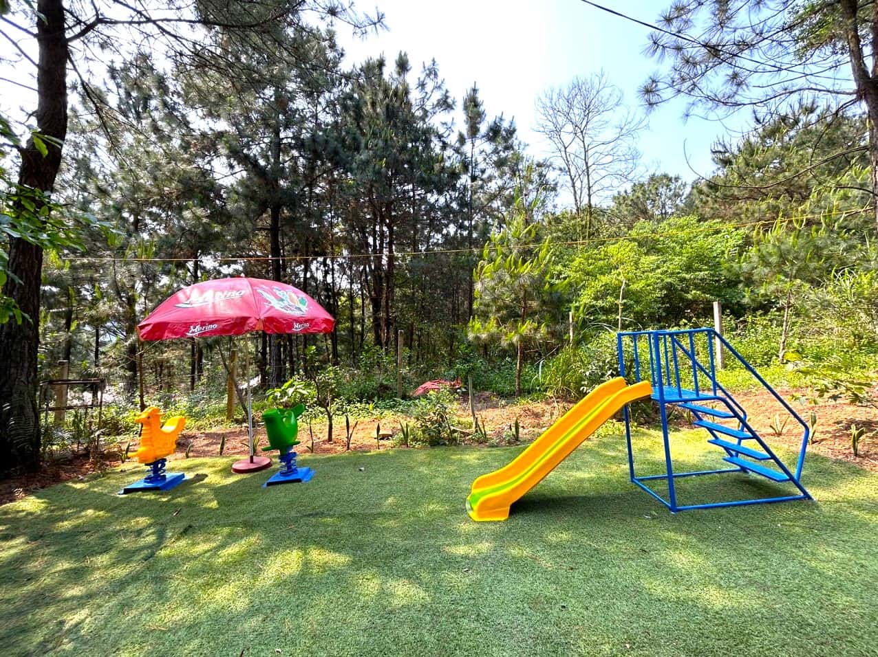 justfly mei homestay soc son 
