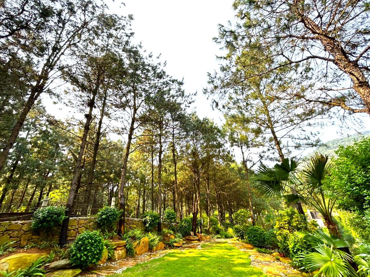 位于Lâm Trường、Sóc Sơn的La Joie Villa — 照片 13
