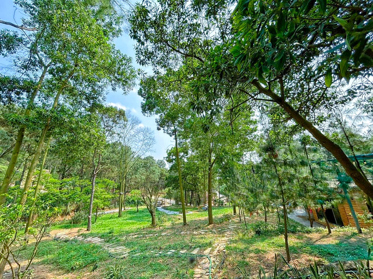 Mei Homestay tại Lâm Trường, Sóc Sơn — ảnh 8