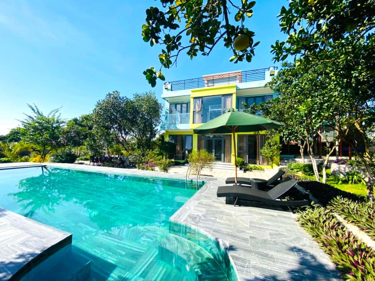 Botanic Garden Homestay tại Minh Phú, Sóc Sơn — ảnh 12