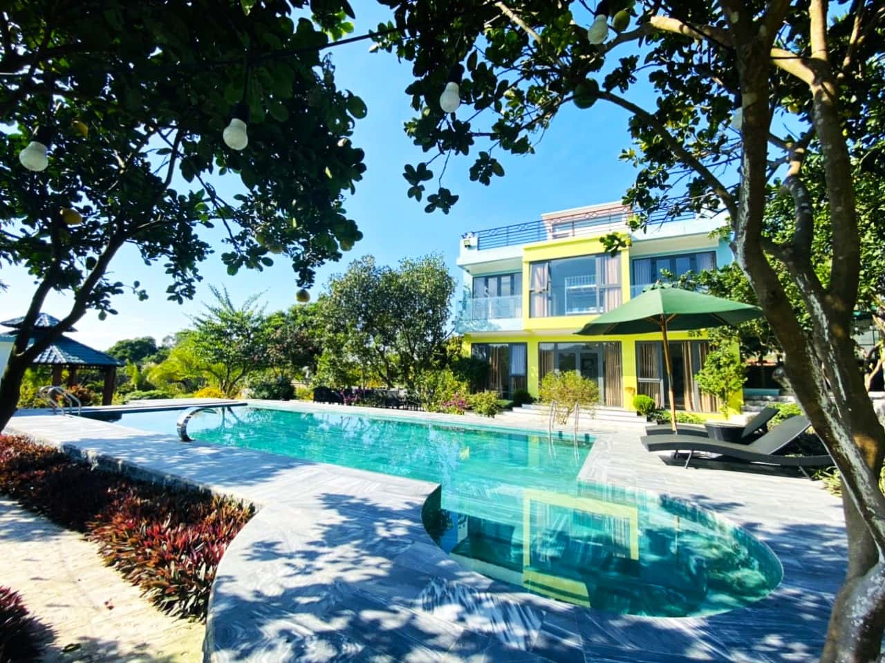 Botanic Garden Homestay tại Minh Phú, Sóc Sơn — ảnh 11