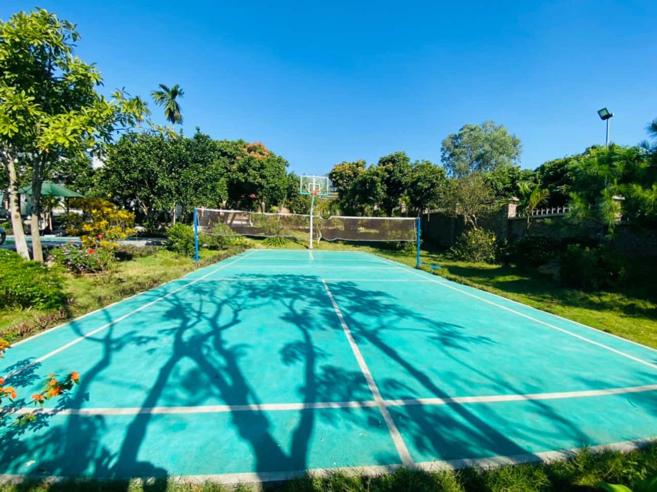 Botanic Garden Homestay tại Minh Phú, Sóc Sơn — ảnh 2