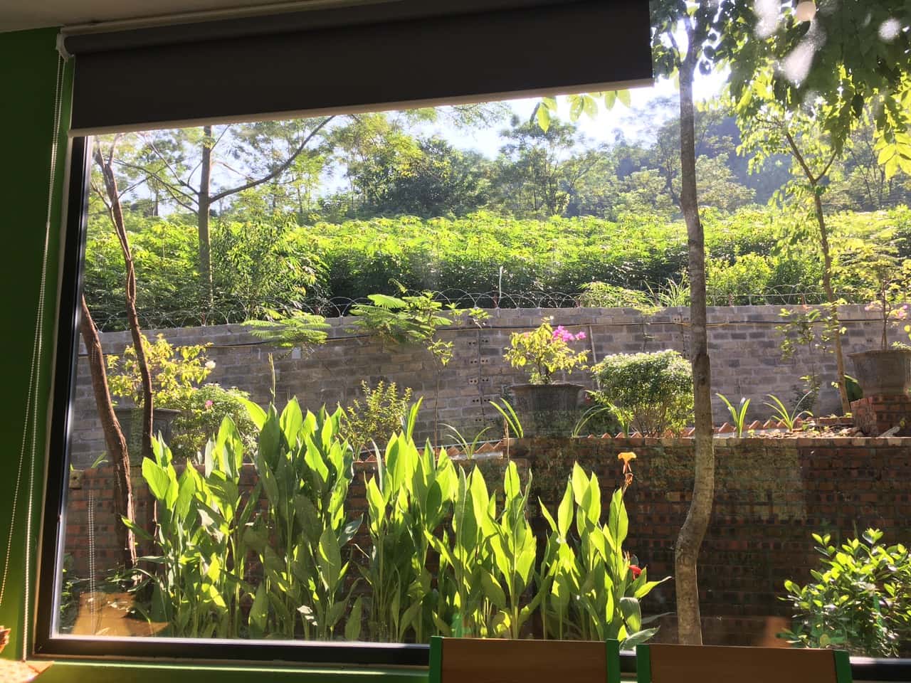 Maison De L’amour, Ba Vì () — ảnh 2
