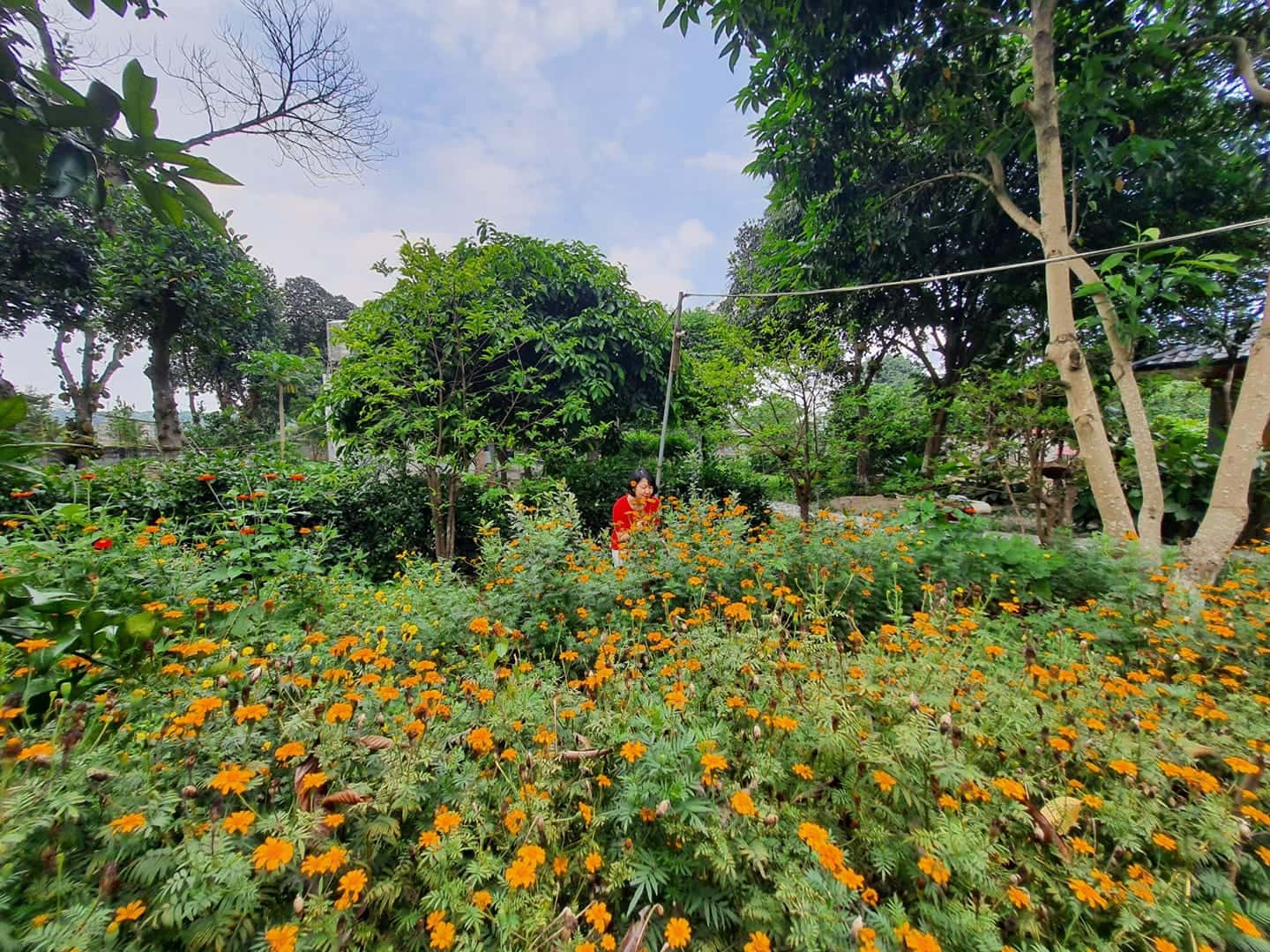 Lâm Villa in Lương Sơn, Hòa Bình — photo 14