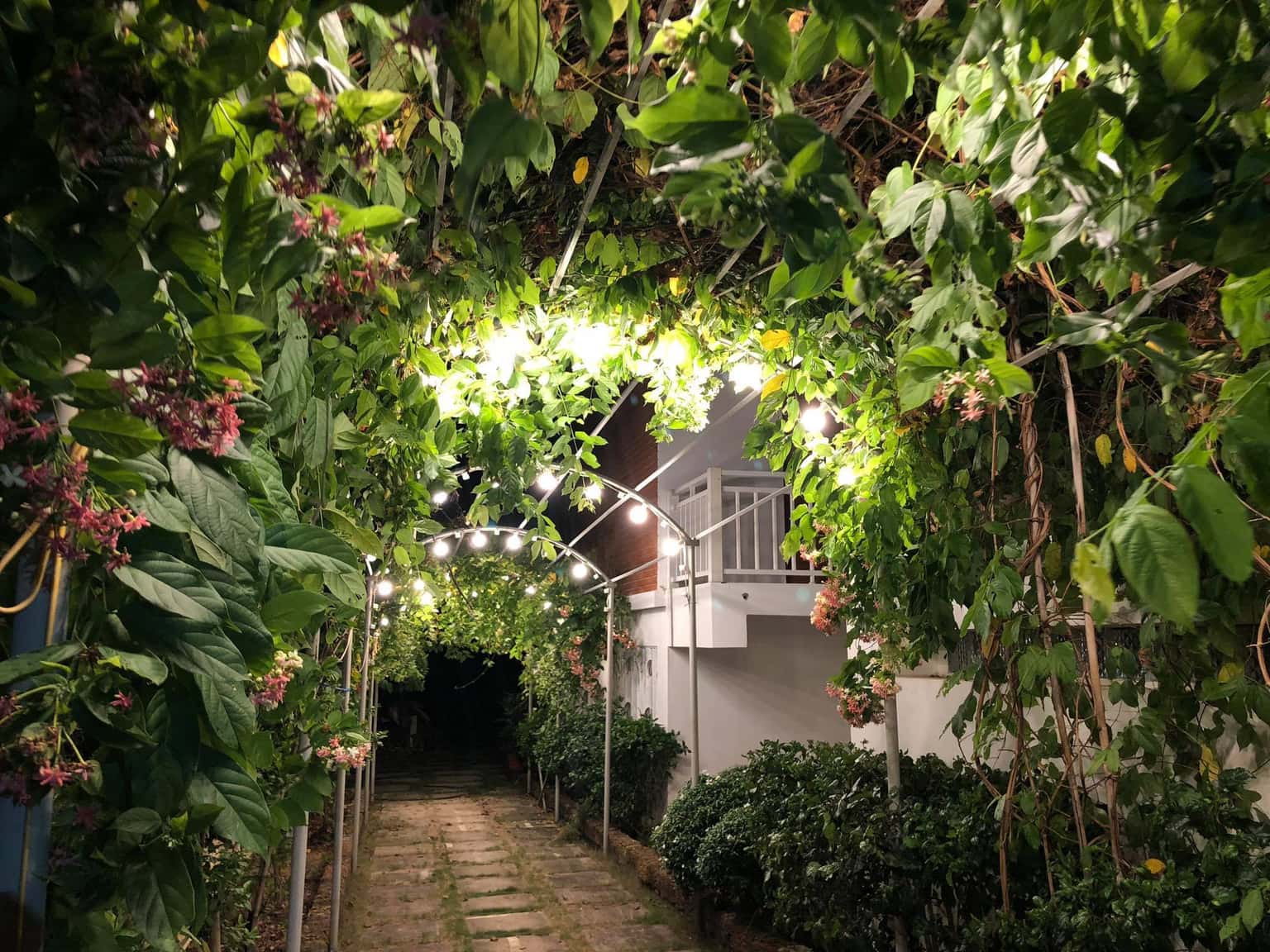 Kensington House, Sơn Tây — ảnh 7