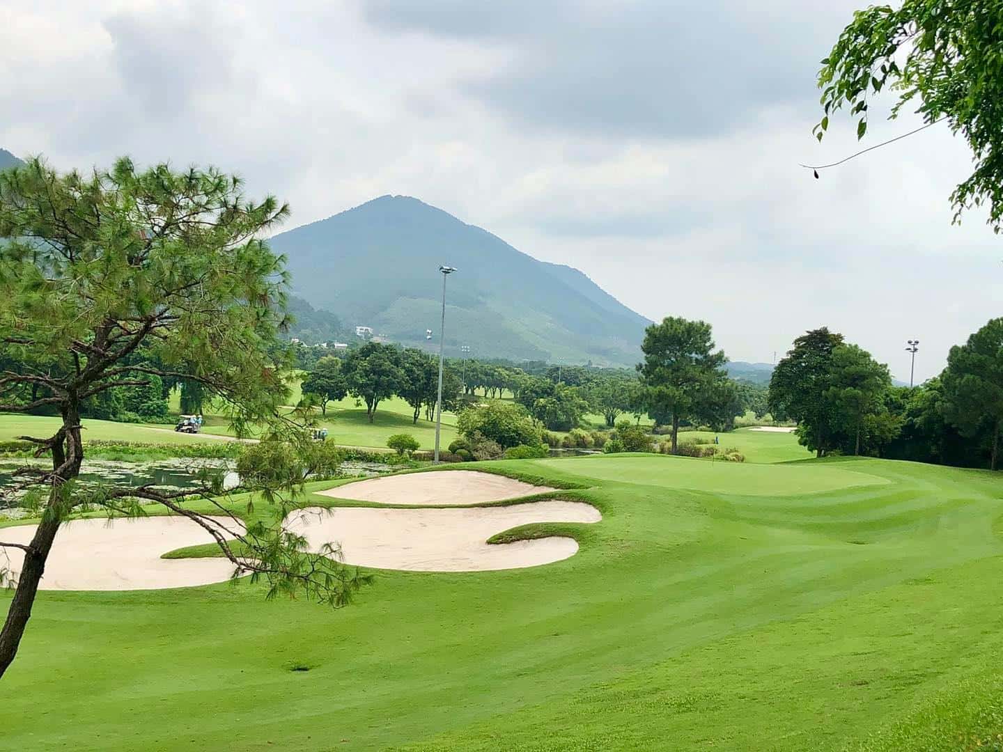 san golf tam dao vinh phuc