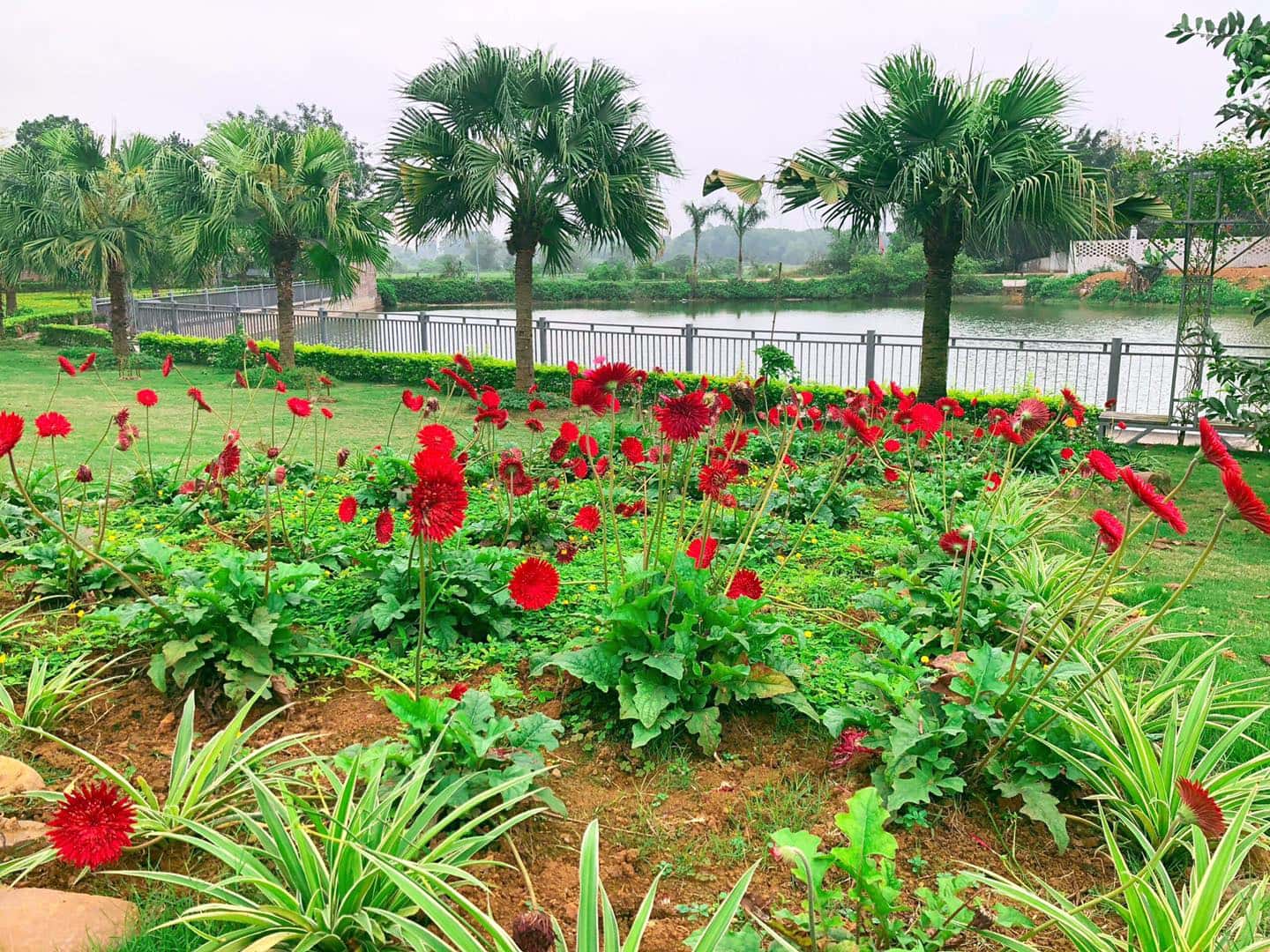 An's Garden, Sơn Tây — ảnh 14