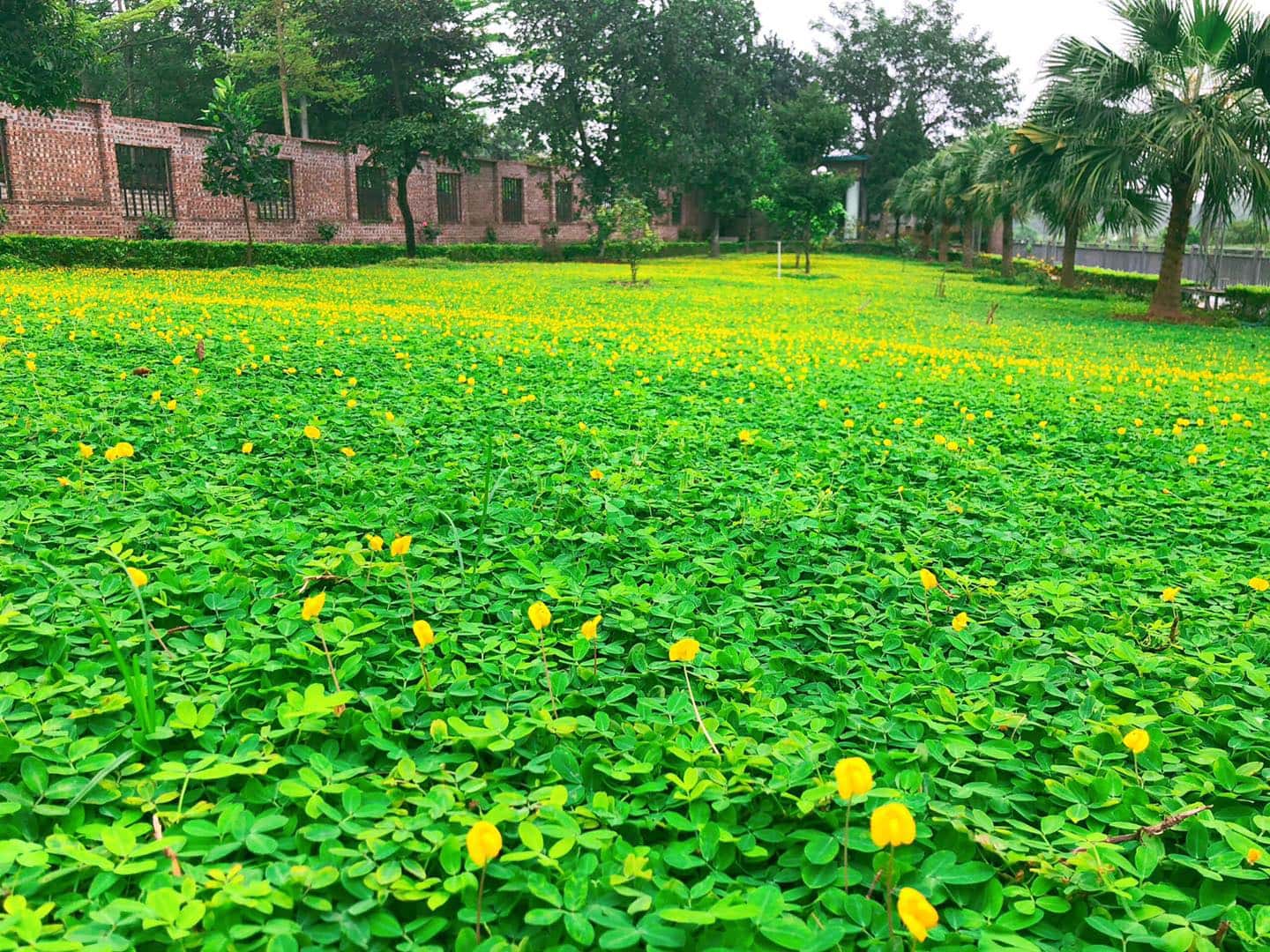 An's Garden, Sơn Tây — ảnh 6