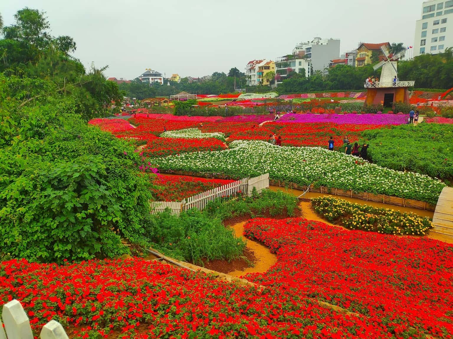 thung lung hoa ho tay dia diem du lich tay ho ha noi