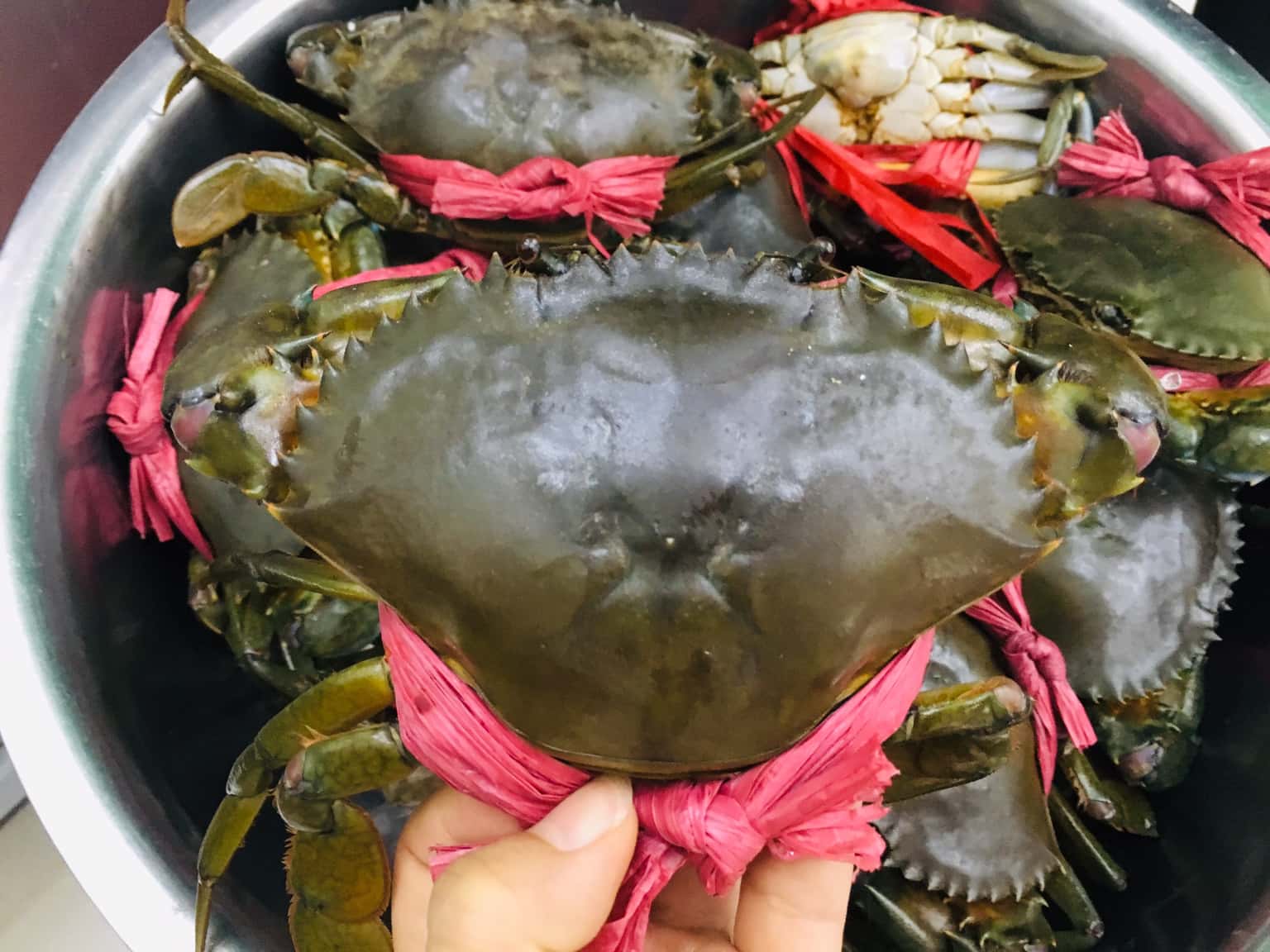 bi kip mua hai san ngon cho xom luoi vung tau