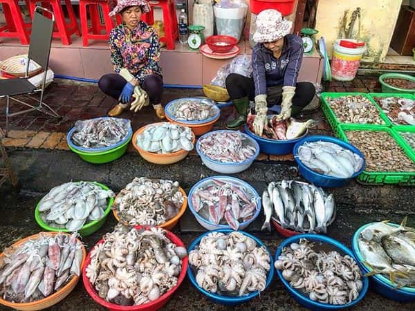 bi kip mua hai san ngon cho xom luoi vung tau