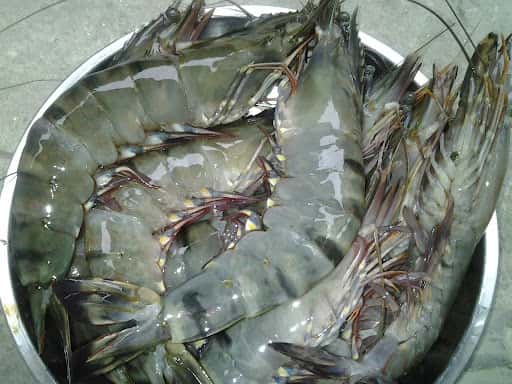 bi kip mua hai san ngon cho xom luoi vung tau
