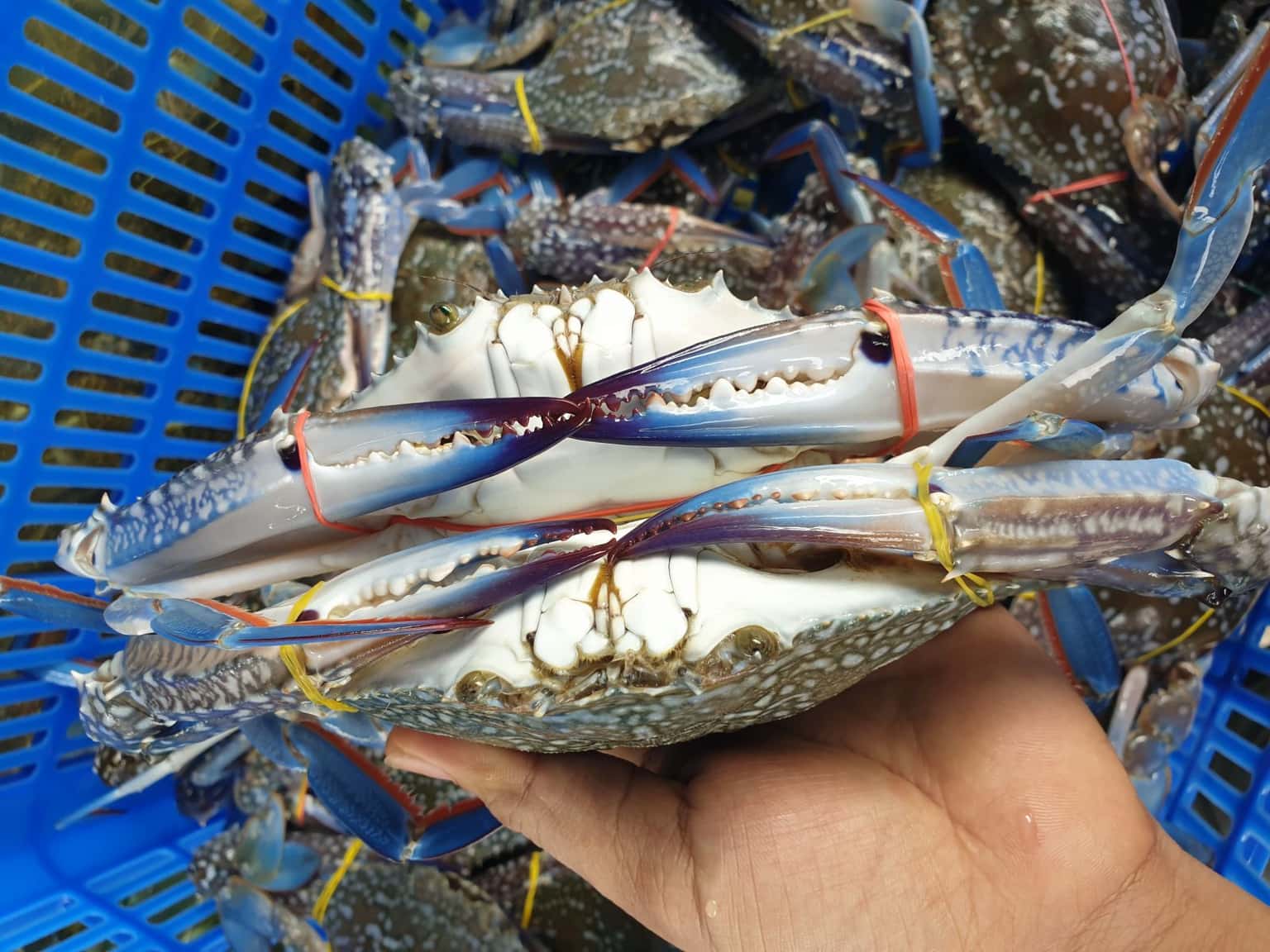 Chợ Xóm Lưới, Vũng Tàu — ảnh 6