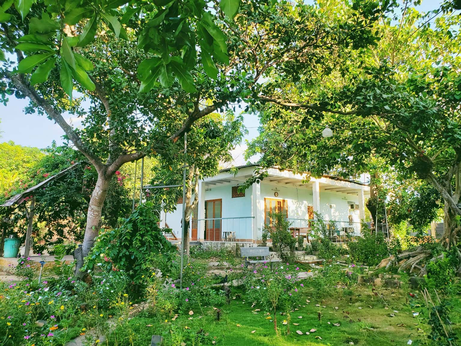 bien rung homestay kinh nghiem du lich ho tram vung tau