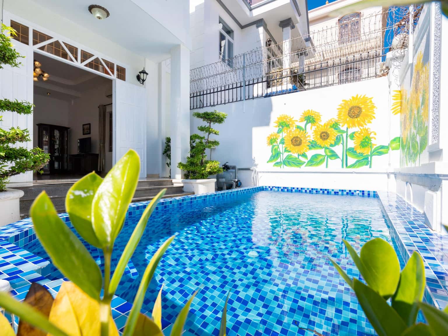 Palm Villa 3, số 10D Lạc Long Quân, Vũng Tàu