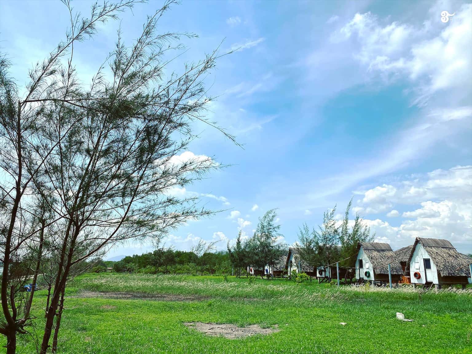 du lich dao go gang vung tau