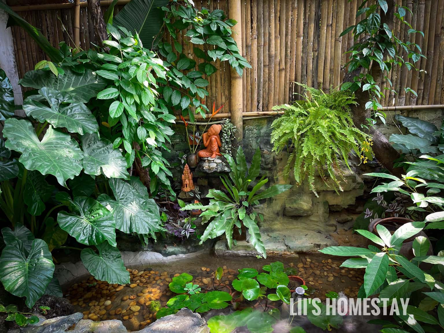 Bali - Lii's Homestay, Tây Hồ — ảnh 11