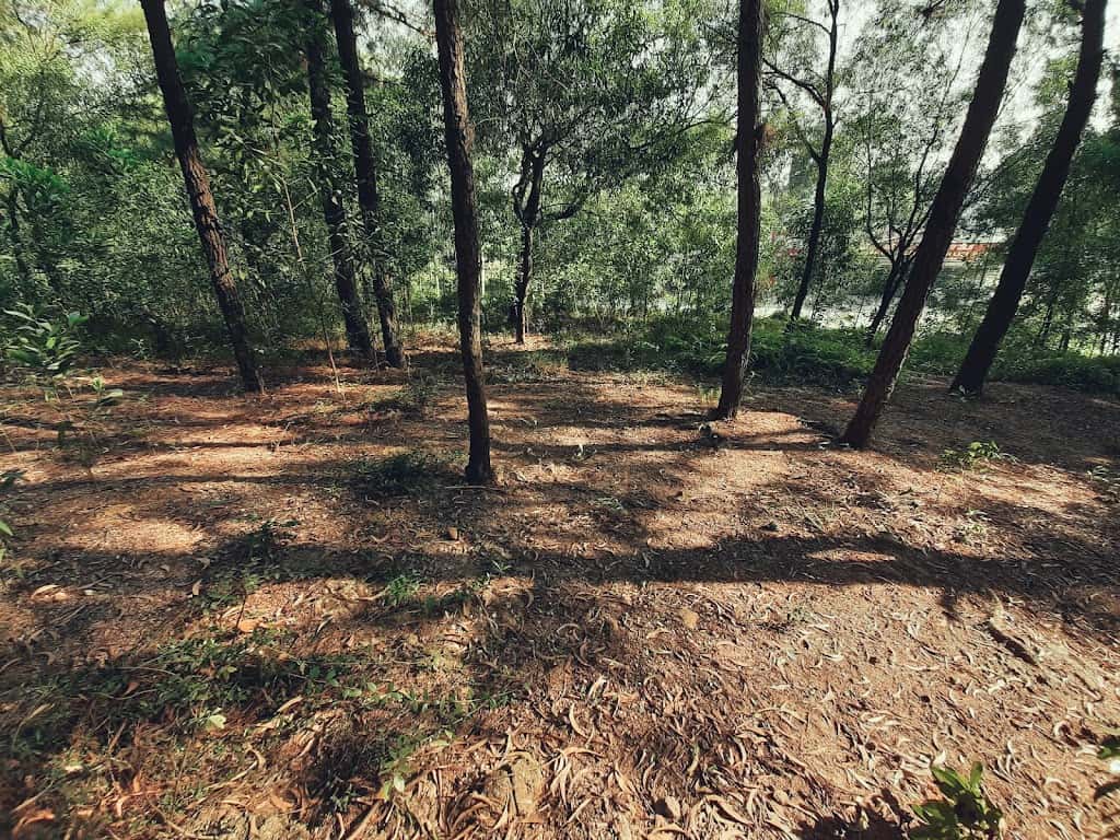 Núi Đôi Sóc Sơn — photo 22