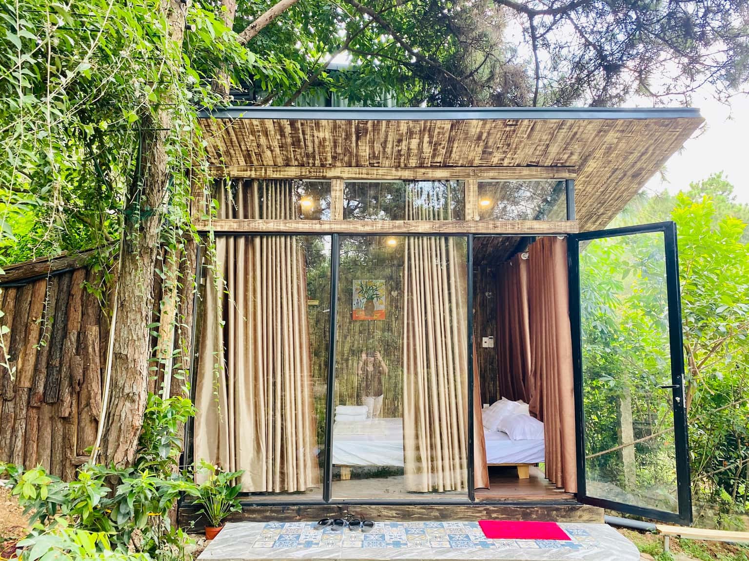Nhà Cây Sung - Ánh Trăng, Sóc Sơn () — ảnh 1