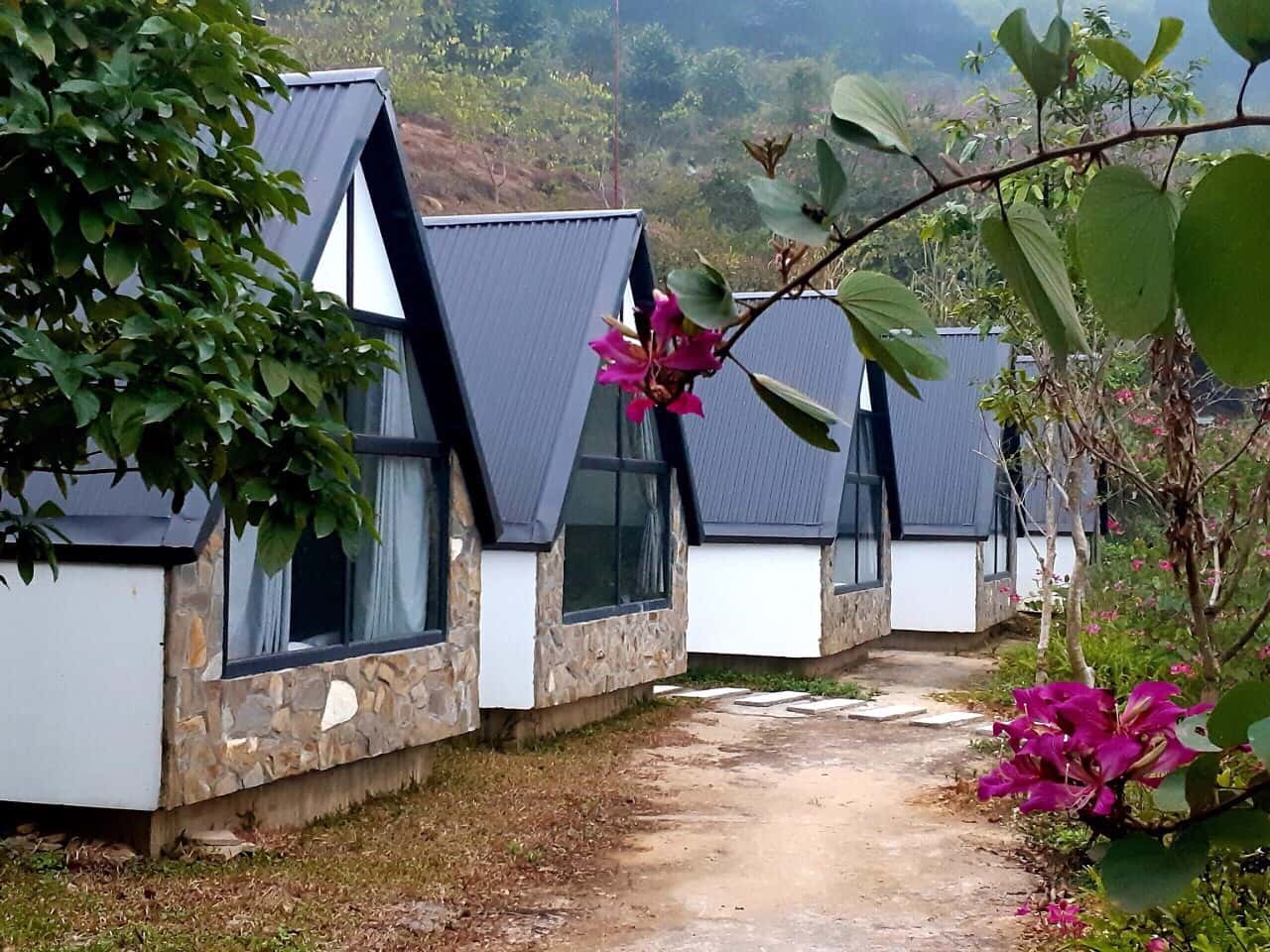 bungalow daisy queen homestay ba vi