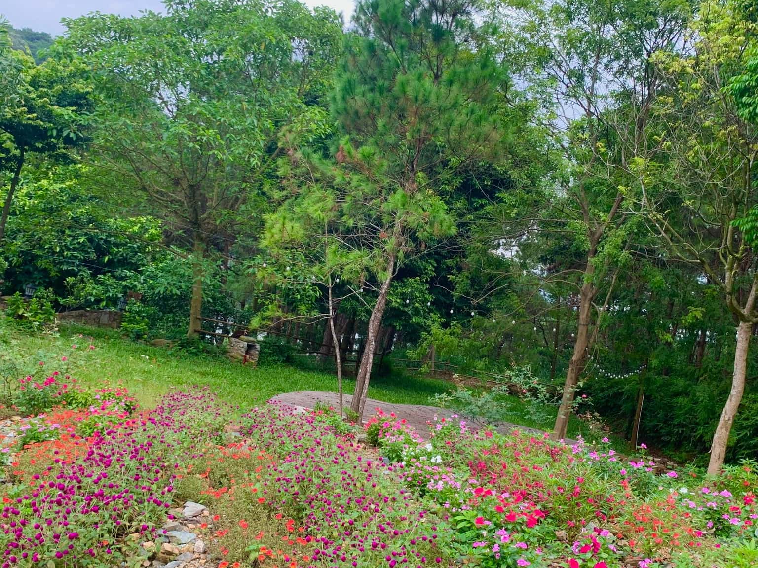 Mây House, Sóc Sơn () — 照片 14