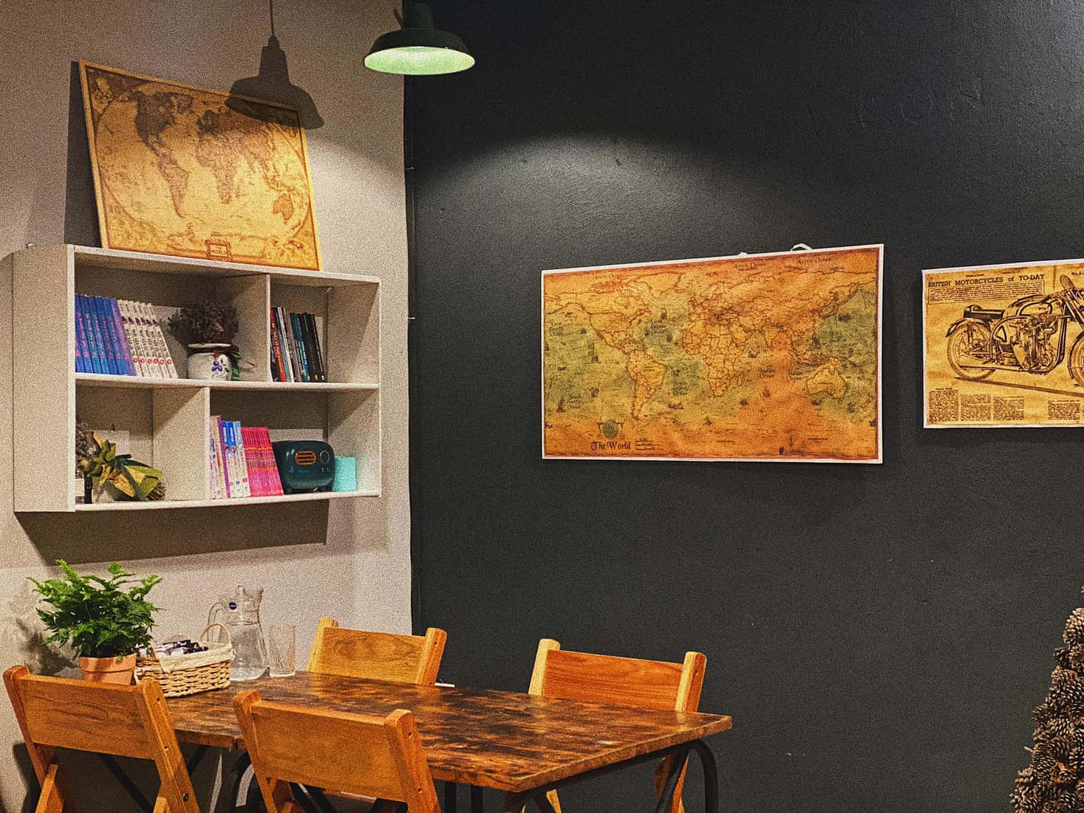 Mèo Xiêm, Đà Lạt — ảnh 9