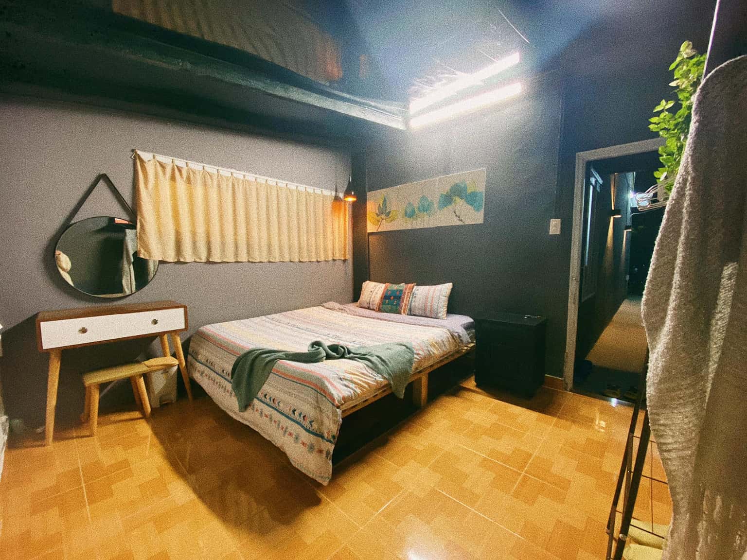 Mèo Xiêm, Đà Lạt — ảnh 12