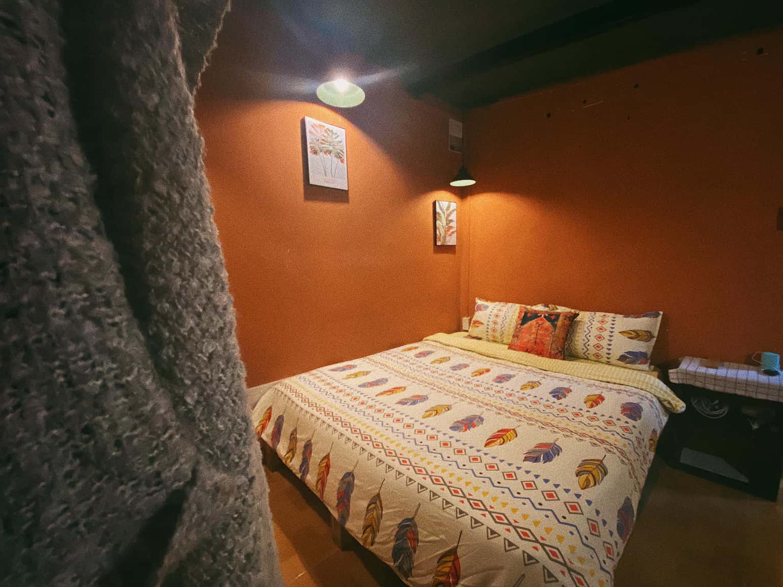 Mèo Xiêm, Đà Lạt — ảnh 14