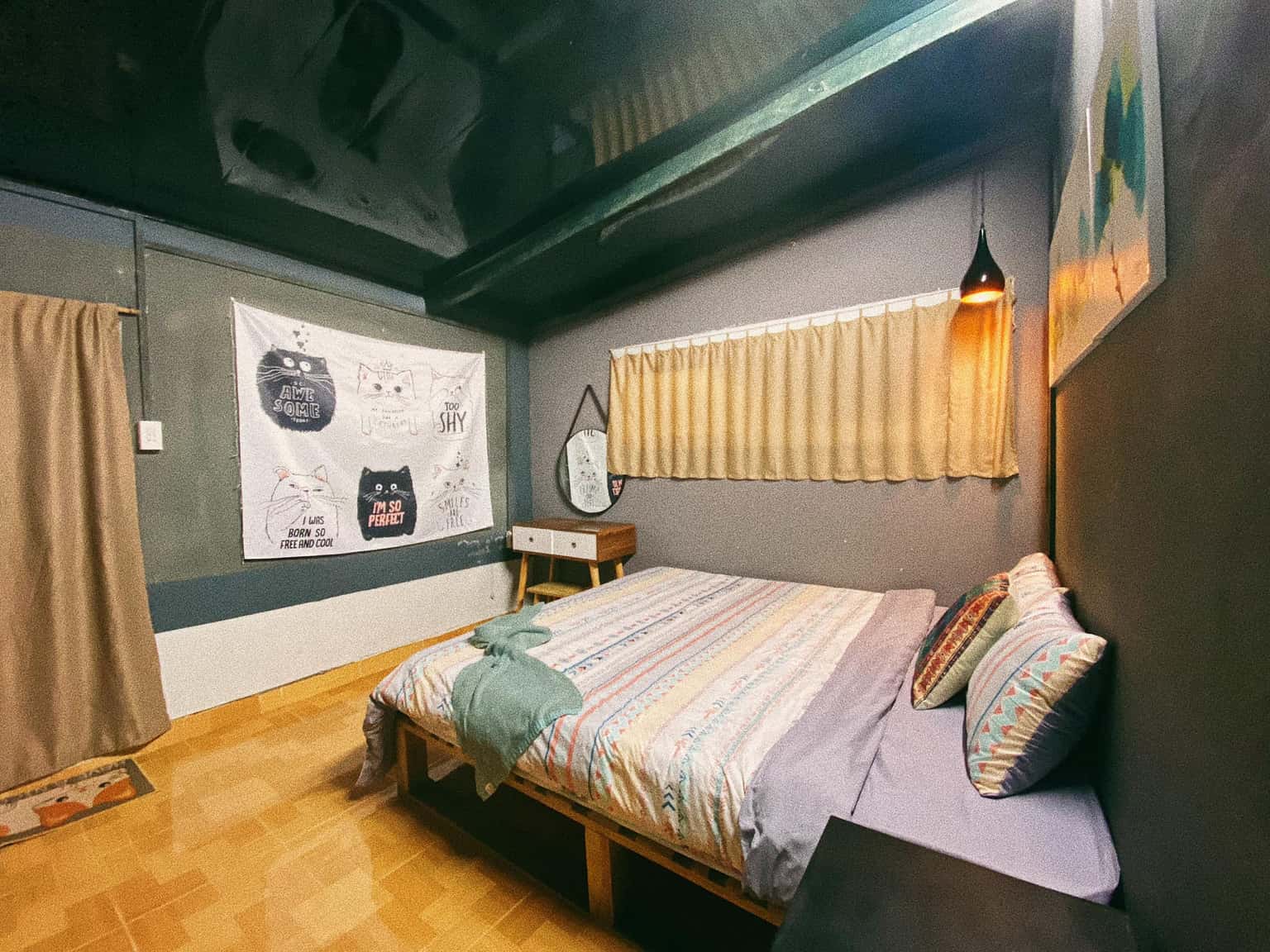 Mèo Xiêm, Đà Lạt — ảnh 13