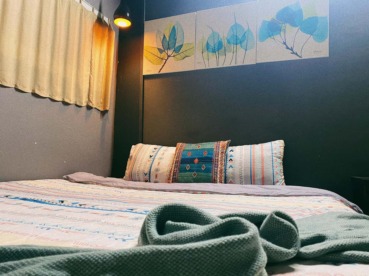 Mèo Xiêm, Đà Lạt — ảnh 17