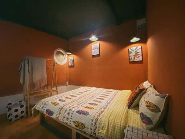 Mèo Xiêm, Đà Lạt — ảnh 4