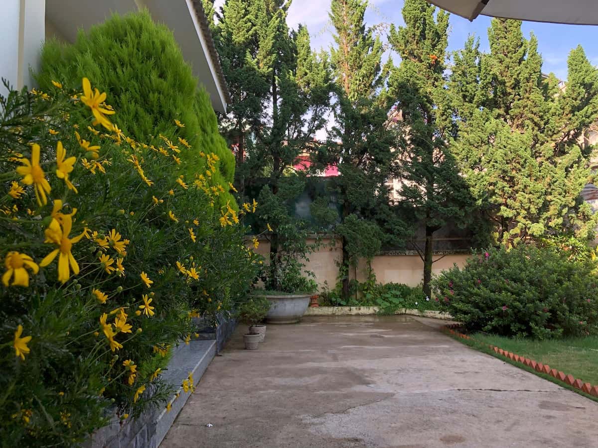 Pine Villa, Đà Lạt — ảnh 10