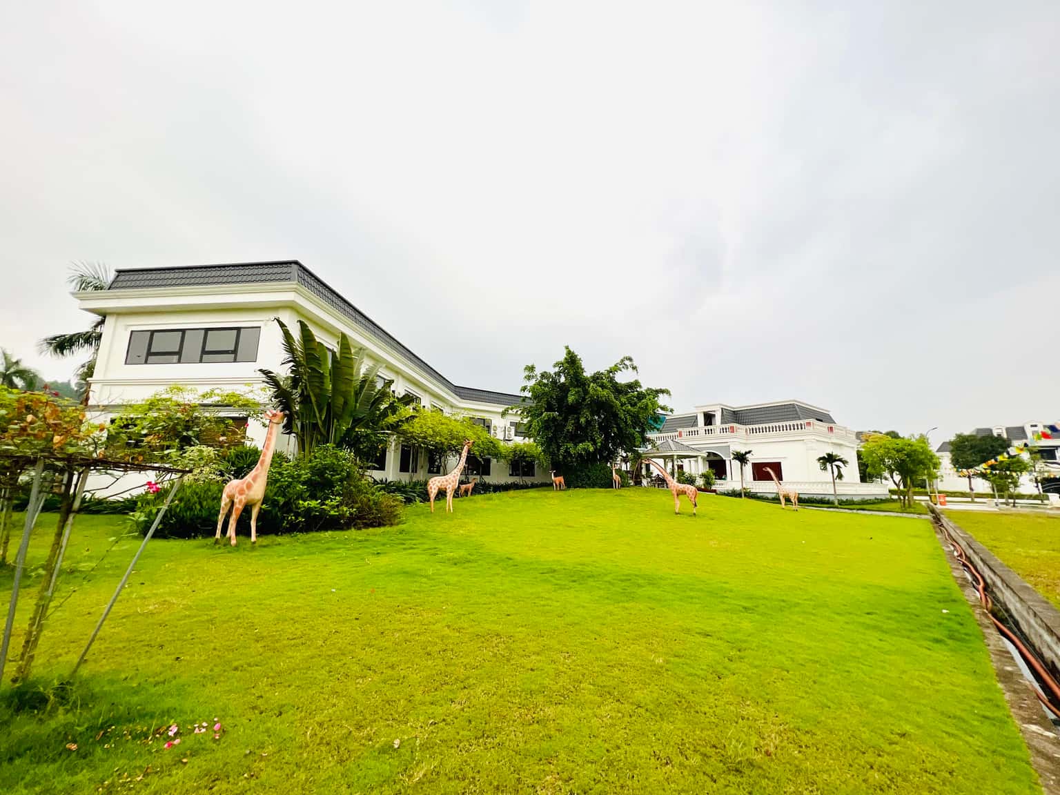 Hoa Giấy别墅，和平 — 照片 10