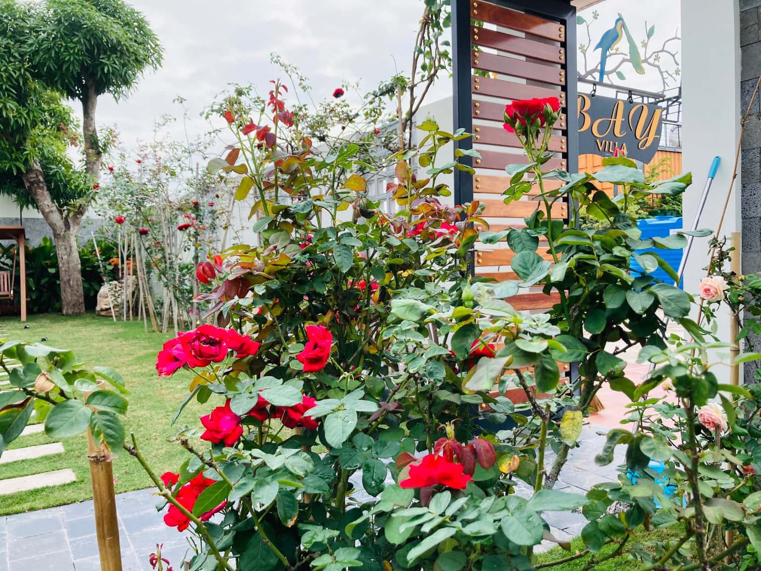 Bay Villa – Tuần Châu, Hạ Long — ảnh 6