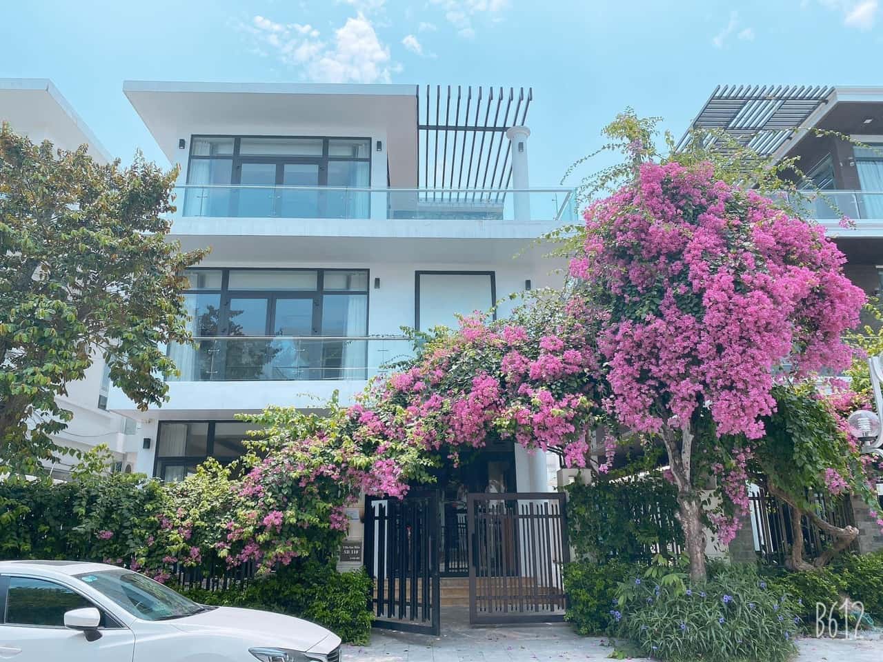 SB110, FLC Sầm Sơn — photo 1
