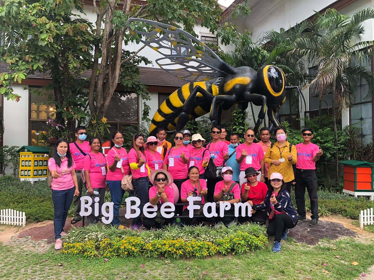 justfly big bee farm pattaya hanoi bangkok pattaya