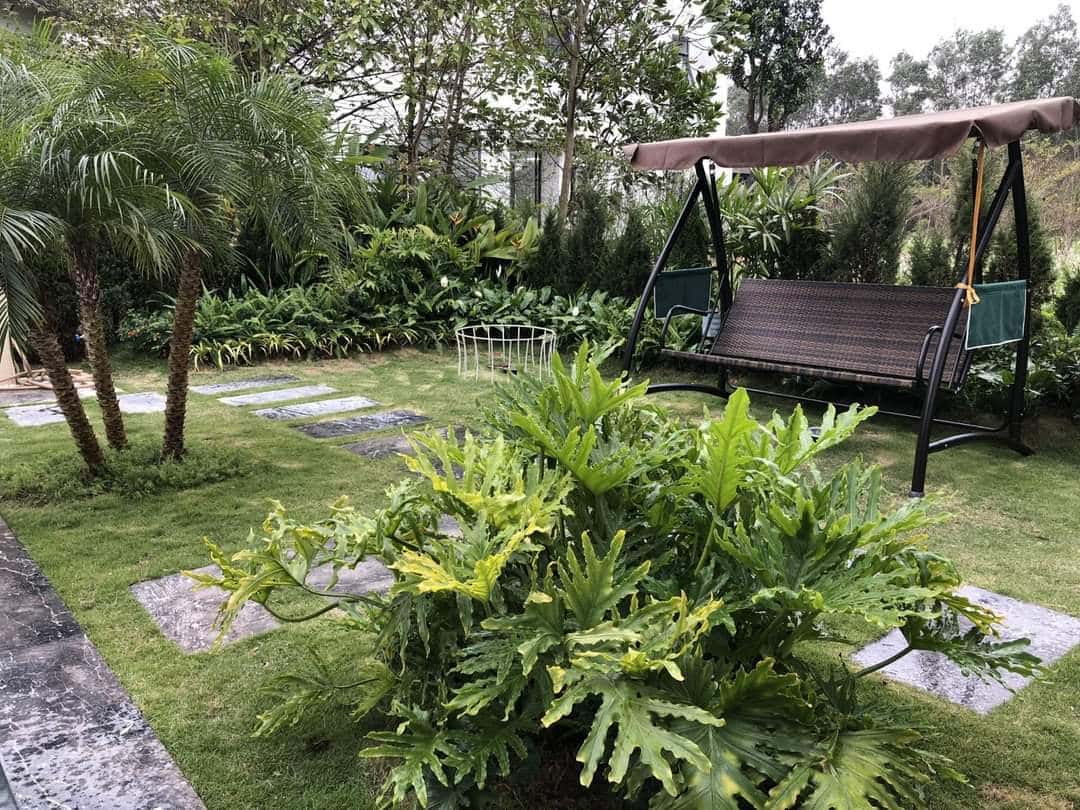 b98 flamingo dai lai