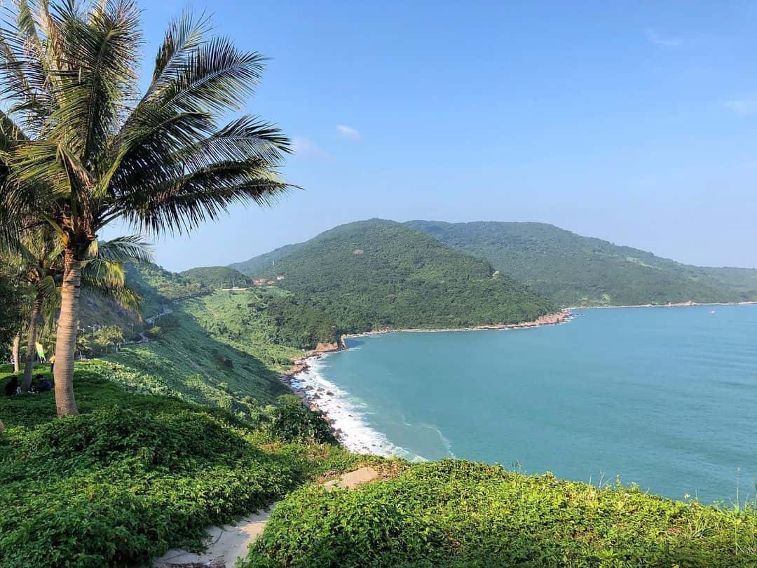 justfly bai rang son tra da nang