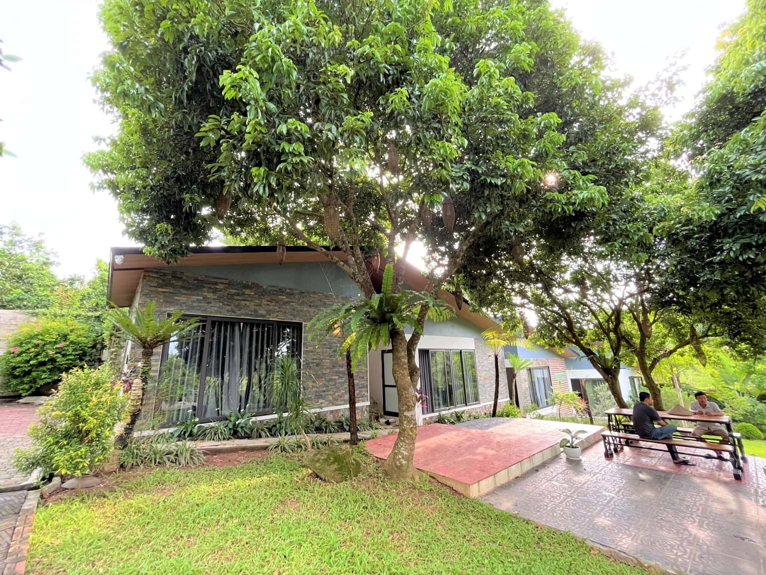 Green Hill Homestay tại Vân Hòa, Ba Vì — ảnh 7