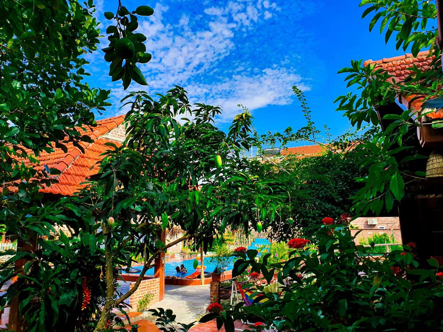 justfly trang an village homestay phong view nui ninh binh