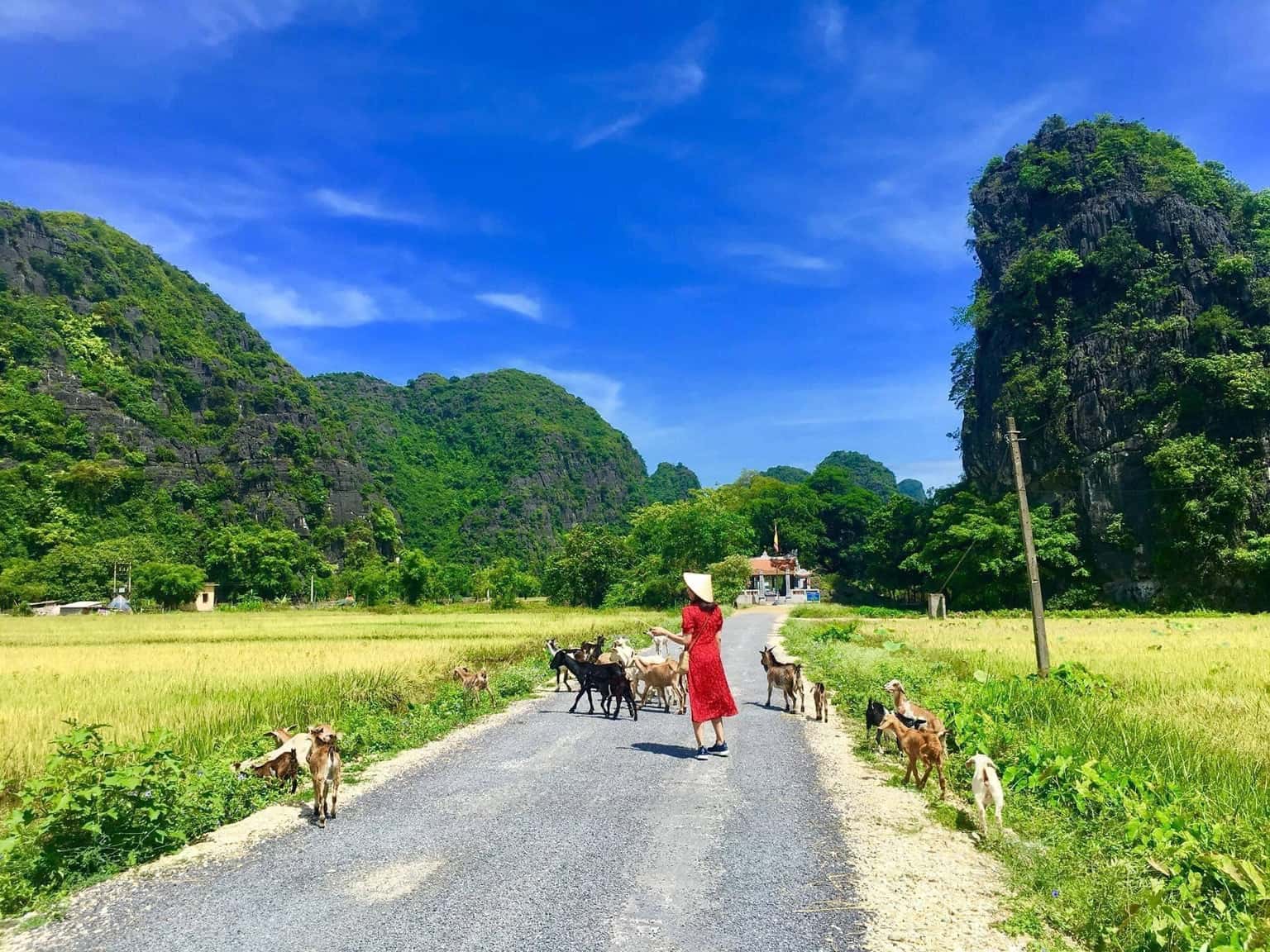 deluxe double tam coc nature lodge ninh binh