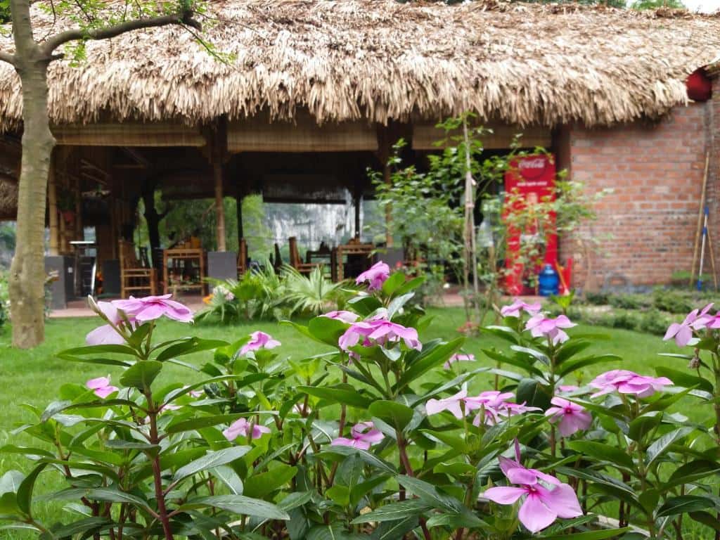 phong tap the quoc khanh bamboo homestay ninh binh